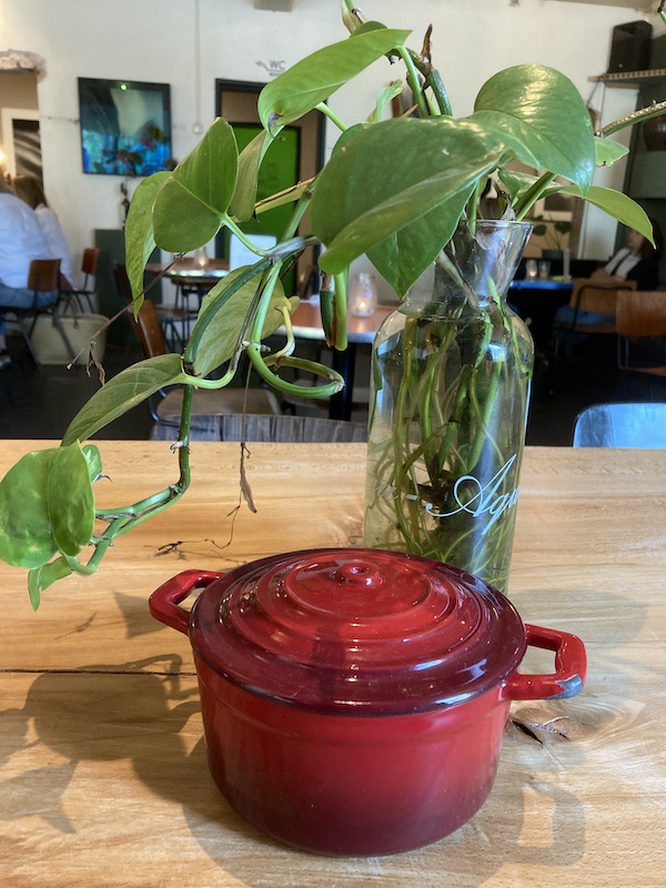 eigentijds kapitaalorgaan {{brizy_dc_image_alt imageSrc=